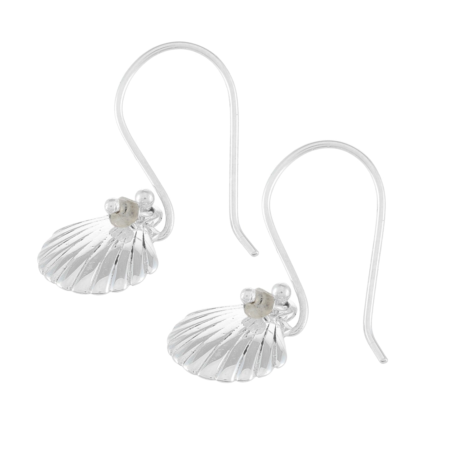 Sea Shell Earrings | Moonstone