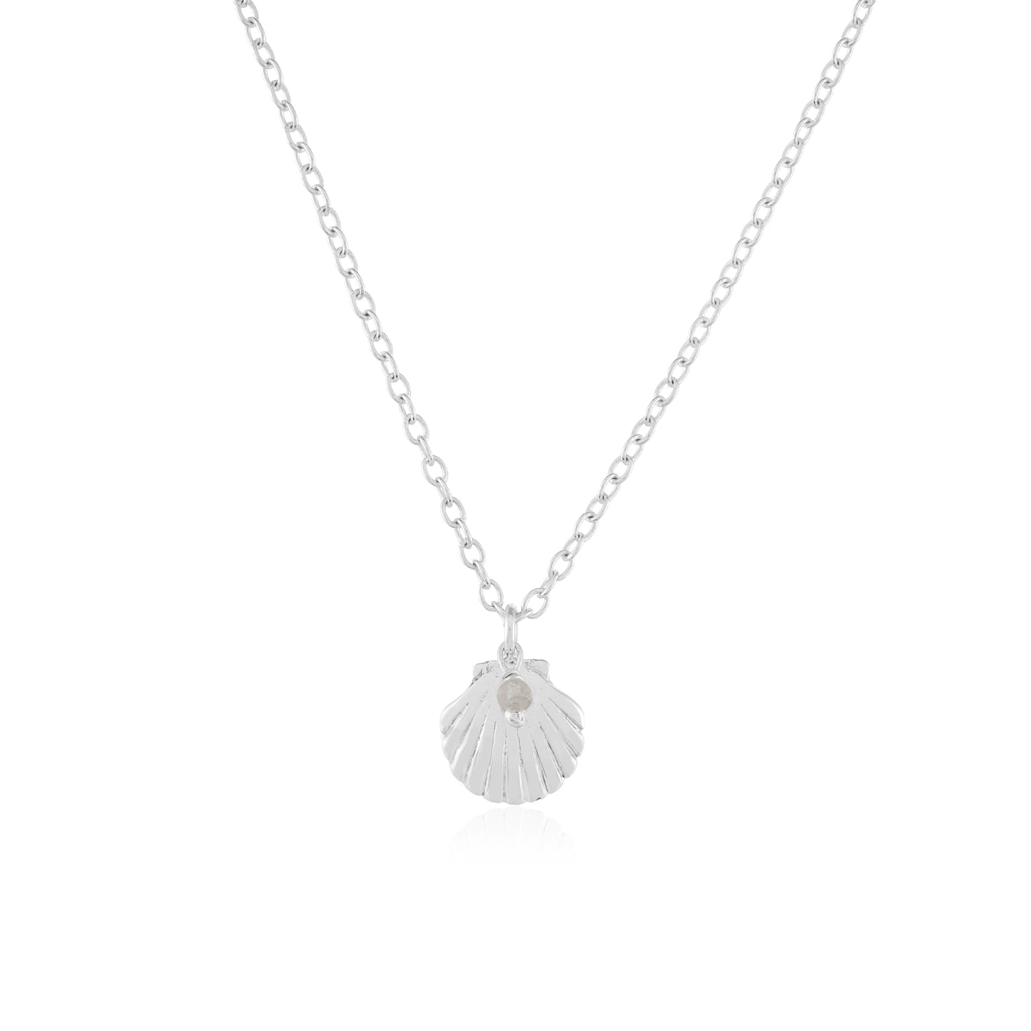 Sea Shell Necklace | Moonstone